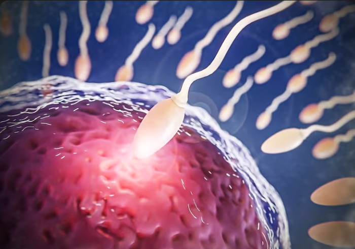 Donor Sperm Insemination in Delray Beach: What First-Time Patients Should Know
