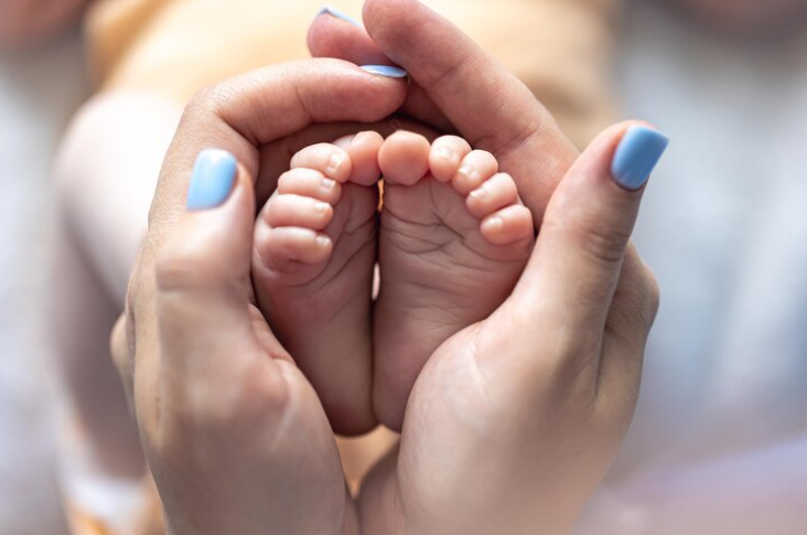 IVF Timeline Explained for Patients in Boca Raton & Palm Beach County