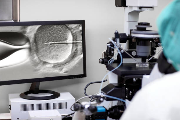 Should You Consider PGT-A for Your IVF Cycle?